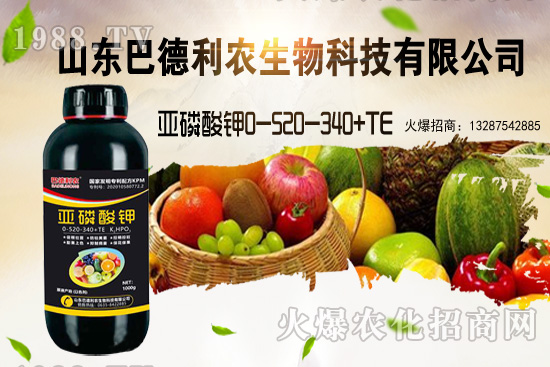 С���r���ܝq�������Xһ�������ֵ؅^(q��)�r��������