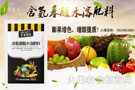 �|���m����ʲô����(ji��)�������|������M�зNֲ��