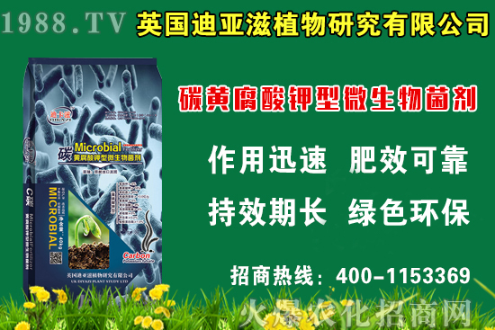 蛇瓜什么時(shí)候種比較好，蛇瓜栽培技術(shù)要點(diǎn)！