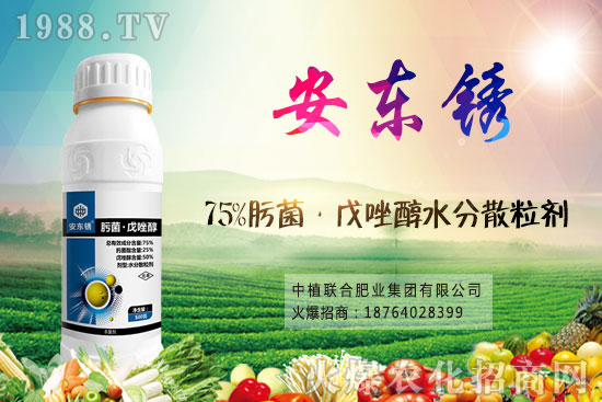 小麥價格后市將繼續(xù)漲？9月16日小麥價格走勢！