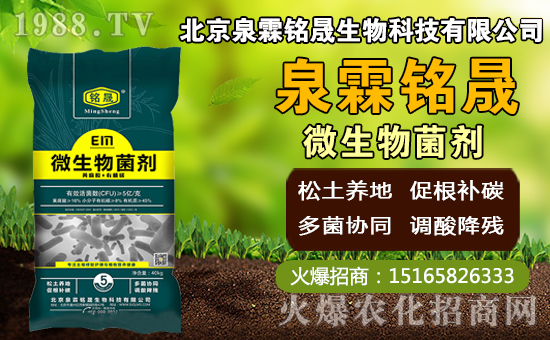 â��ʲô�r�g�Nֲ��â���Nֲ��������ˮ�r����