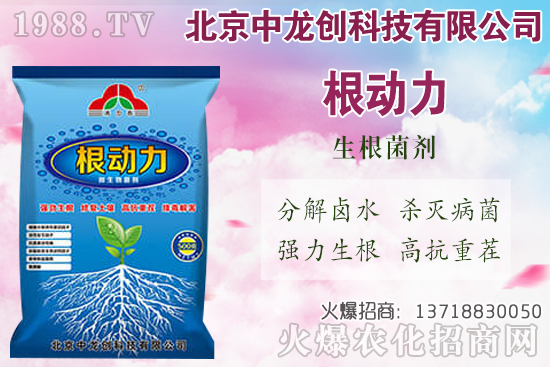 ���}���������������Щ�����}��ʩ�ʼ��g(sh��)Ҫ�c(di��n)��