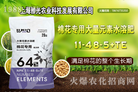 ��ʲô�r(sh��)��Nֲ�������༼�g(sh��)Ҫ�c(di��n)��