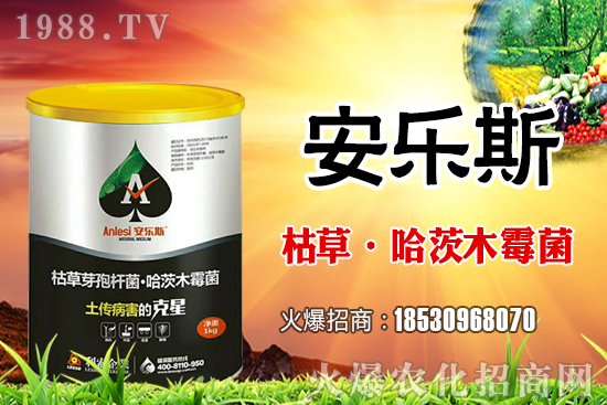 小麥種子是購(gòu)買還是自留？小麥自留種子需要注意哪些內(nèi)容？