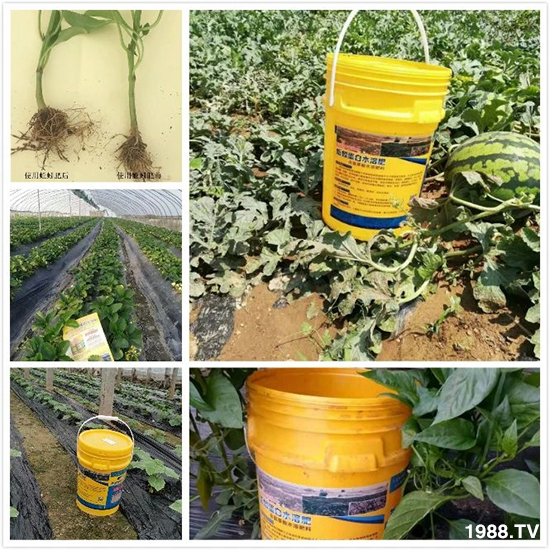 ˮ�ܷ��Ј�(ch��ng)��׃��������徫���~���׌��������棡1000���Ñ��������]��