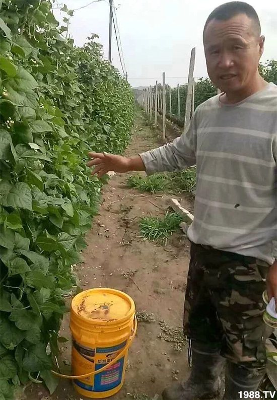 ˮ�ܷ��Ј�(ch��ng)��׃��������徫���~���׌��������棡1000���Ñ��������]��