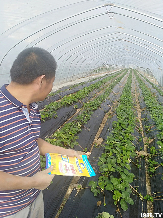 ˮ�ܷ��Ј�(ch��ng)��׃������徫���~���׌�����������1000���Ñ��������]��