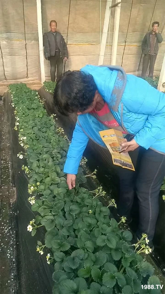 ˮ�ܷ��Ј�(ch��ng)��׃������徫���~���׌�����������1000���Ñ��������]��