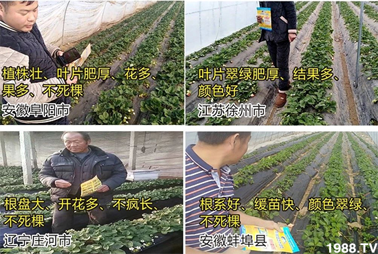 ˮ�ܷ��Ј�(ch��ng)��׃������徫���~���׌��������棡1000���Ñ��������]��