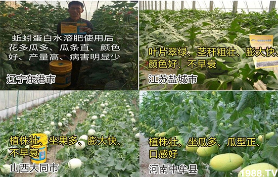 ˮ�ܷ��Ј�(ch��ng)��׃��������徫���~���׌��������棡1000���Ñ��������]��