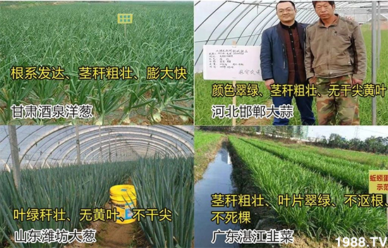 ˮ�ܷ��Ј�(ch��ng)��׃������徫���~���׌�����������1000���Ñ��������]��