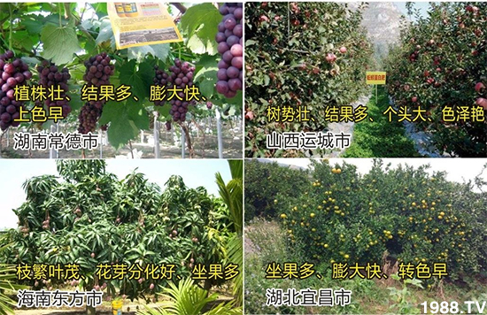 ˮ�ܷ��Ј�(ch��ng)��׃������徫���~���׌�����������1000���Ñ��������]��