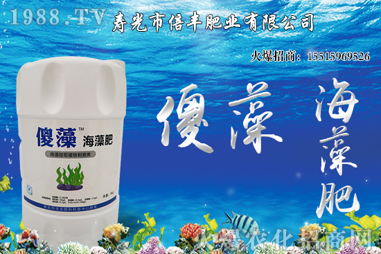 �Ј��𲽻ؚw�������������󶹃r(ji��)��_�߻�����