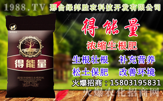 2020��С���N������x���߮a(ch��n)С��Ʒ�N����Щ��