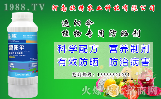 �R������Ժ���Щ�����׷N���R����׷Nģʽ��ʲô��̎��