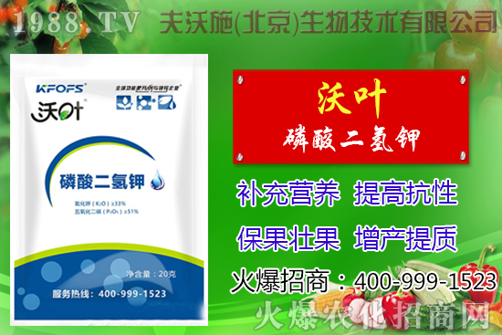 ���t��ժ�~����Щ��̎������ժ�~���g(sh��)��ע�����(xi��ng)��