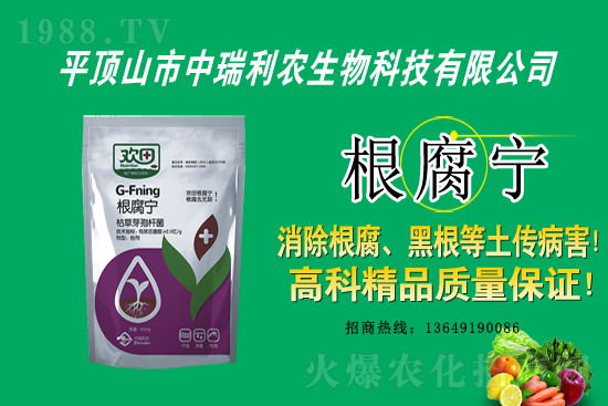 ��ݮ�������r������2021��2��16��