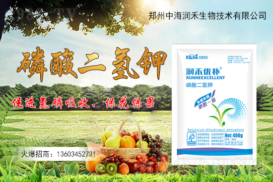 ����һ���굽��ԓ��ôʩ�ʣ�����ʩ��ע���������Щ��