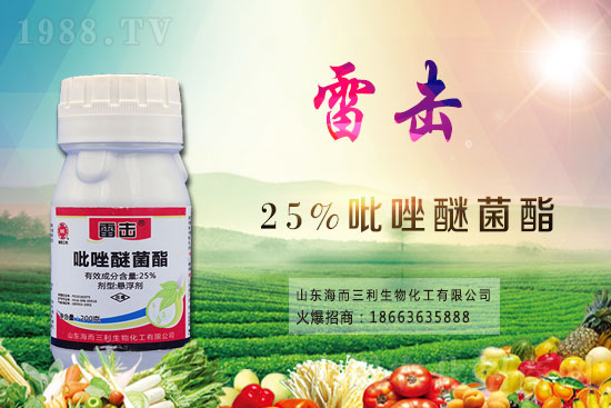 2021.2.24���h(hu��n)���r(n��ng)ˎ�r��S�̈�r