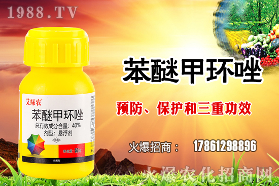 ����������x�����׷N�������׷NֲҪע����Щ���}��