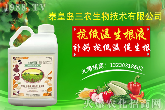 2021��1��30�Շ��ȴ󶹬F؛�r��