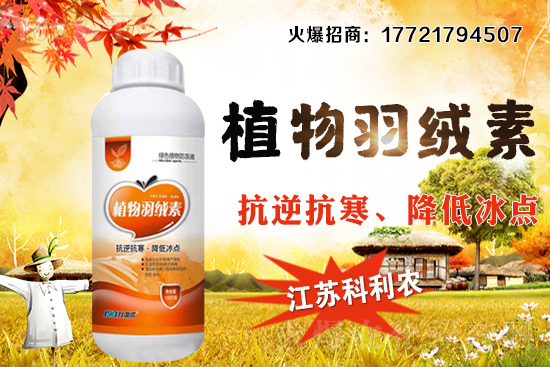 �����׷Nֲ�ܶ���ΰ�����������ʩ�ʼ��к��ڹ�����