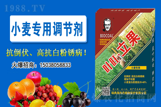 �Zʳ���a(ch��n)