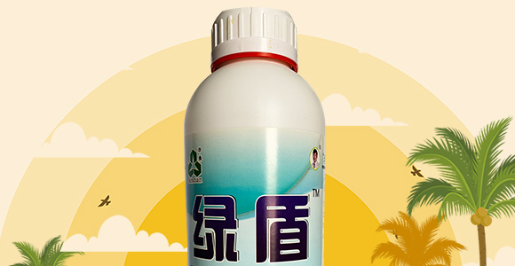 1000g����G��-��������_02