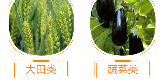 ����Ԫ��ˮ�ܷ���13-7-40+TE-��΢�-��������_11