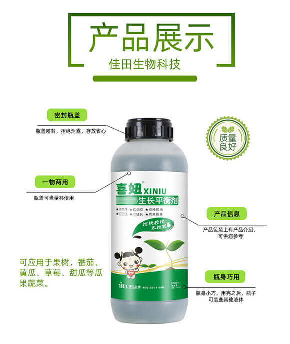 ���I�B(y��ng)���Lƽ�℩-ϲ�-��������_03