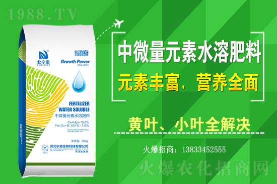 �S����ԓ��ô�Nֲ���S���˷Nֲ�^����ע����Щ���}��