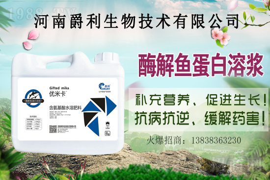 ���Ϟ�ʲôҪ���ɫ����(y��ng)ԓ����xُ(g��u)�m�ϵ��ɫ���ϣ�