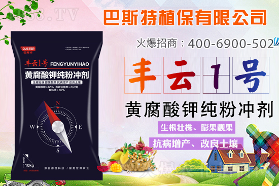 ������Y(ji��)/�}�n��/�ữ�y��Q�������S����⛼��ۄ���