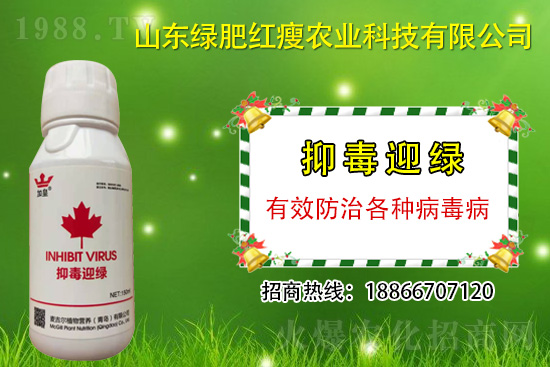 ���β�������Ҳ���ðΣ����ֶ�ӭ�G�����β�������