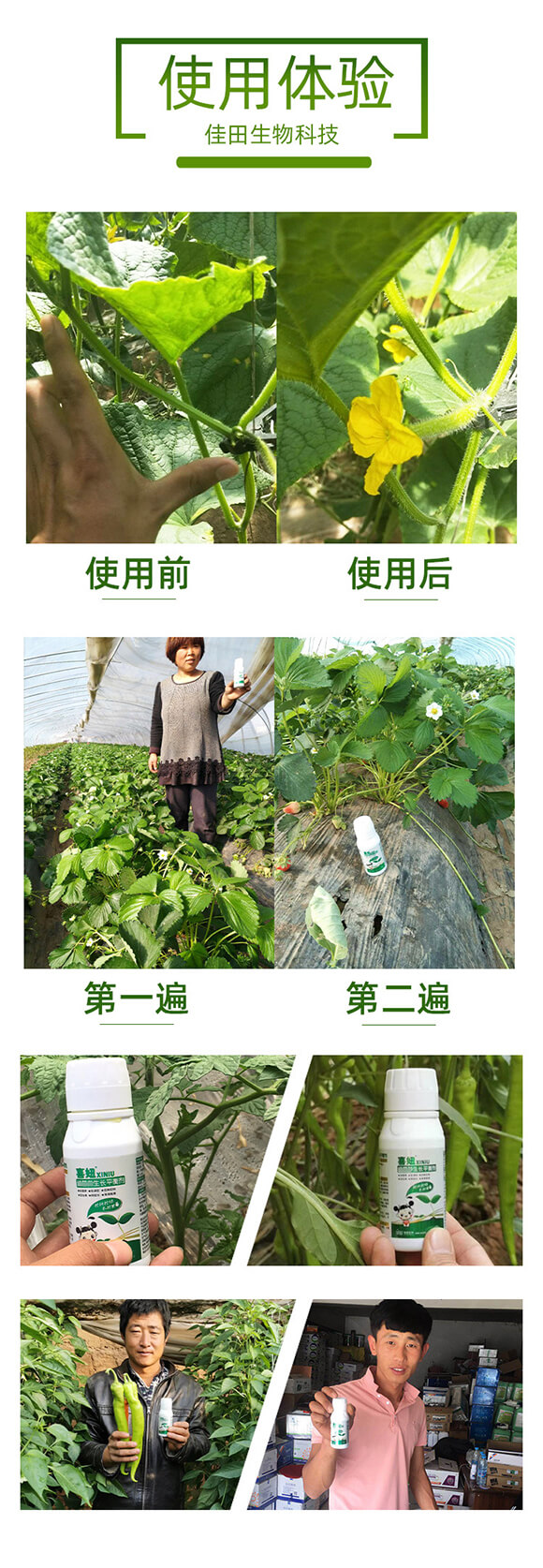 ���I�B(y��ng)���Lƽ�℩-ϲ�-��������_06