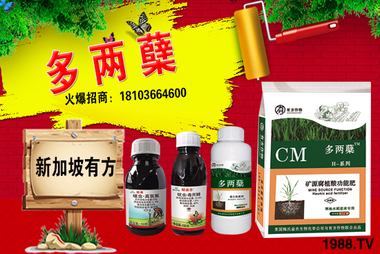 2021�����ַNֲǰ����Σ������ֺ���ͨ�����к΅^(q��)�e��