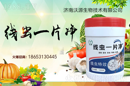 ���Y(ji��)���x�y���������ξ��x�����xһƬ����