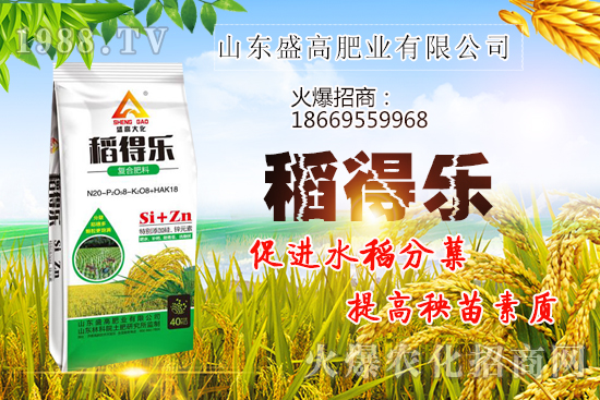 �r�I(y��)�a�N