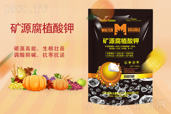 ⛷��ǝq߀�ǵ���10��19��⛷ʃr(ji��)������