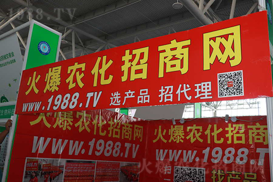 ��s������2021ɽ�|ֲ�������𱬾W(w��ng)��������ʢ�e��