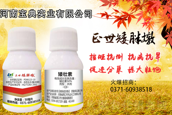 小麥控旺,勢(shì)不可擋,專(zhuān)業(yè)控旺,效果為王!