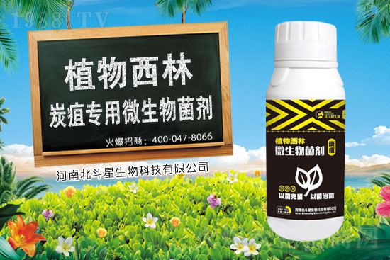 2021��2��24�՚�����ԭˎ�r(ji��)������