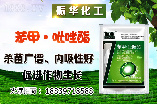 ���ԓ��ô�Nֲ������Nֲ�������h(hu��n)��Ҫ����