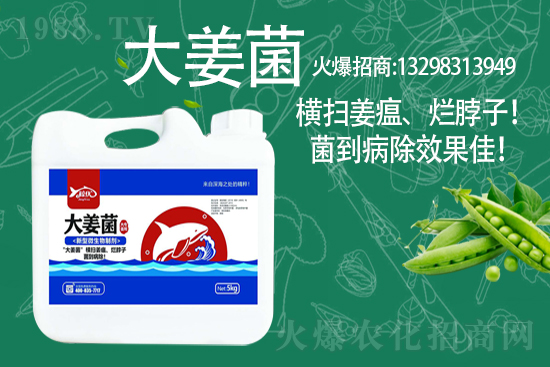 2021��3��10��ȫ��(gu��)С���r(ji��)�񼰷���