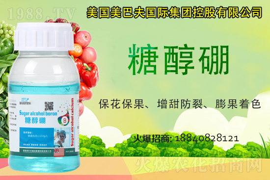 ���յ��ȶ����Xһ����2021�굾�ȃr(ji��)���Ƿ�߀��(hu��)�q��