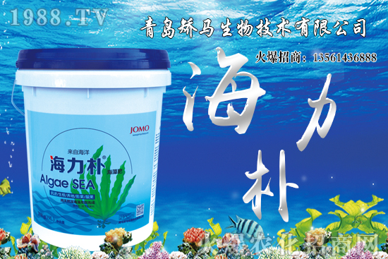 ѩ����r(ji��)������Xһ����2021��Nֲѩ����ٍ�X����