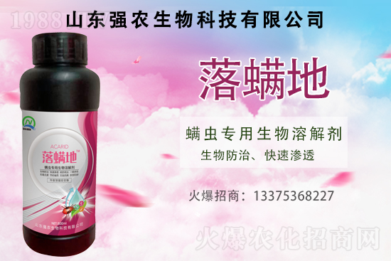 �t֩������֩�����S֩����ʲô�����C�Ϸ�����ô����