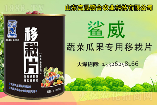 �����������������L(zh��ng)������...���߲˶�ֲ�ؿ�