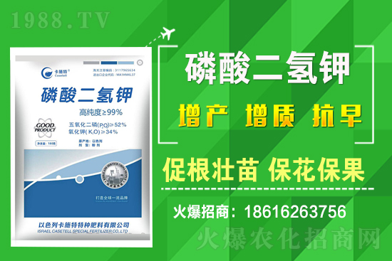 ���˷Nֲ��Ҫע����Щ��(w��n)�}�����˷Nֲԓ��ôʩ����