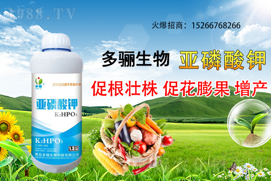 3�·��m�ϷNֲʲôˎ������Щˎ�ķNֲǰ������ٍ�X